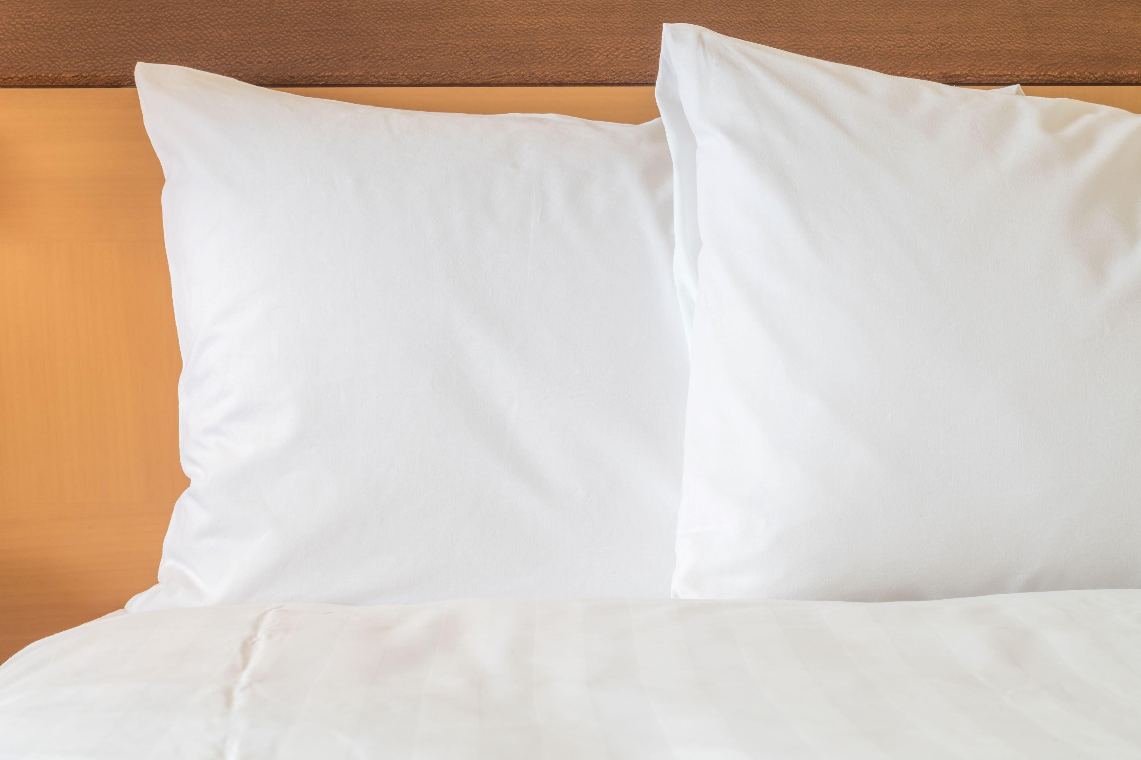 Holiday Inn Express & Suites - Boston South - Randolph By Ihg מראה חיצוני תמונה